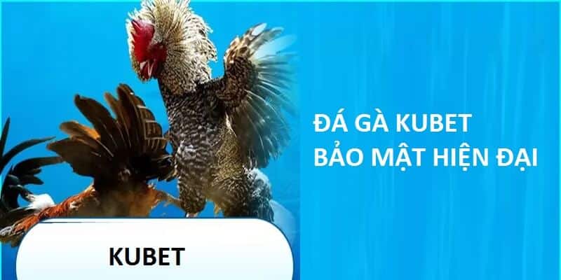 KUBET áp dụng công nghệ hiện đại để bảo mật thông tin